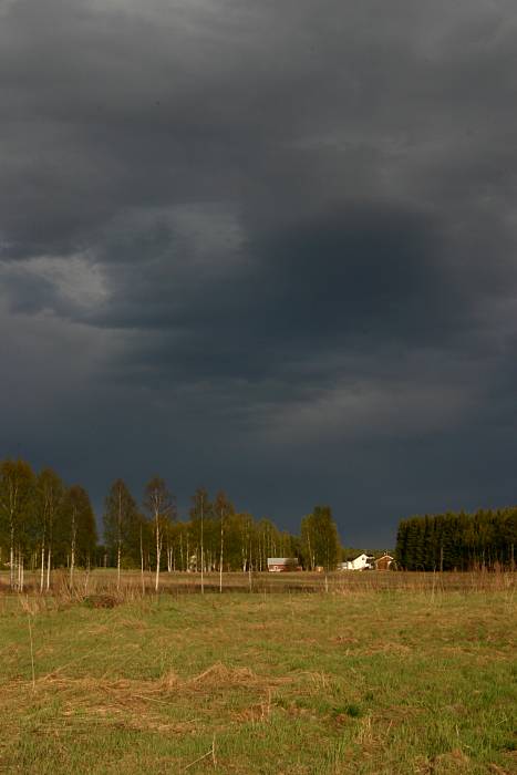 Dark clouds above fields and forest